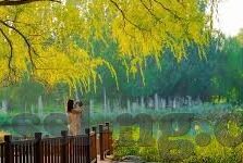 星空体育官网入口中国-星空的邀约，体育的盛宴，中国星空体育官网入口的独特魅力探索