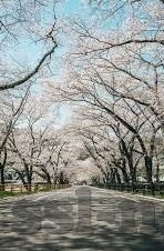 足球比分捷克杯-捷克杯烽火重燃，足球比分背后的激情与梦想